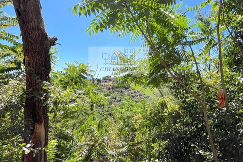 Landejendom i Morlupo, Rome, Morlupo - € 25.000 | Ref: 90222 - foto 16