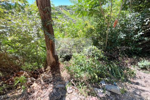 Landejendom i Morlupo, Rome, Morlupo - € 25.000 | Ref: 90222 - foto 27