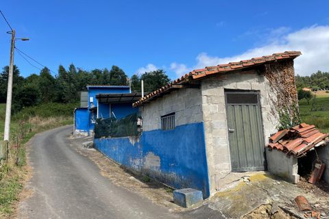 Villa i Grado, Asturias, Grado - € 59.900 | Ref: EXP10637/8930 - foto 19
