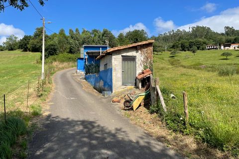Villa i Grado, Asturias, Grado - € 59.900 | Ref: EXP10637/8930 - foto 22