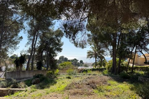 Helårsgrund i Moraira, Alicante, Moraira - € 2.900.000 | Ref: P36198* - foto 7