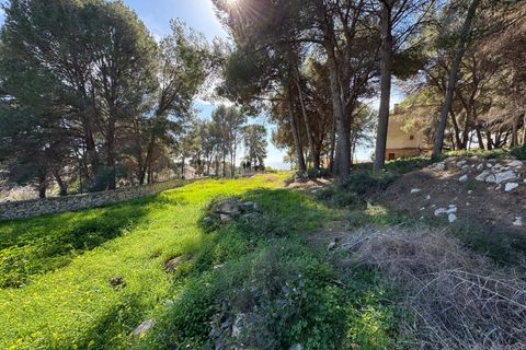 Helårsgrund i Moraira, Alicante, Moraira - € 2.900.000 | Ref: P36198* - foto 8