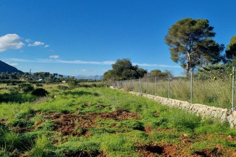 Villa i Denia, Alicante, Denia - € 540.000 | Ref: C36206* - foto 2