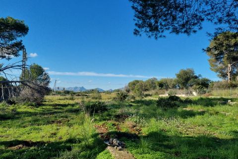 Villa i Denia, Alicante, Denia - € 540.000 | Ref: C36206* - foto 12