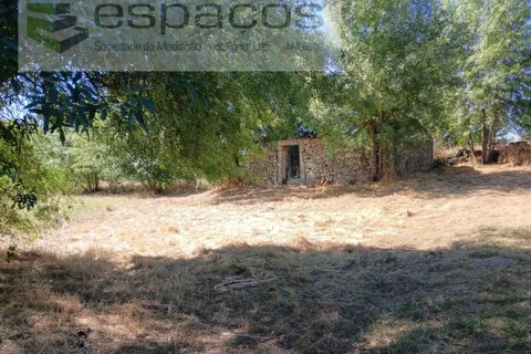 Farm i Castelo Branco, Castelo Branco, Castelo Branco - € 18.695 | Ref: 5828/RR-AC - foto 2