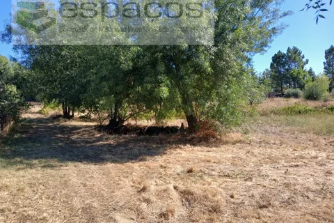 Farm i Castelo Branco, Castelo Branco, Castelo Branco - € 18.695 | Ref: 5828/RR-AC - foto 4