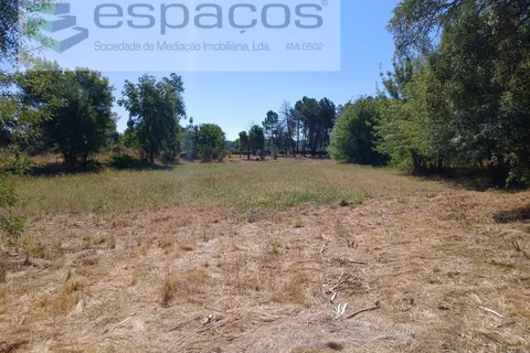 Farm i Castelo Branco, Castelo Branco, Castelo Branco - € 18.695 | Ref: 5828/RR-AC - foto 5