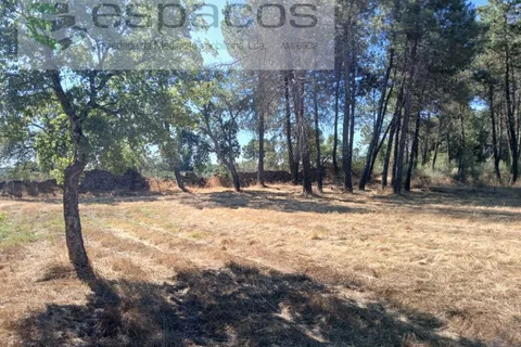 Farm i Castelo Branco, Castelo Branco, Castelo Branco - € 18.695 | Ref: 5828/RR-AC - foto 7