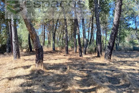 Farm i Castelo Branco, Castelo Branco, Castelo Branco - € 18.695 | Ref: 5828/RR-AC - foto 8
