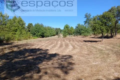 Farm i Castelo Branco, Castelo Branco, Castelo Branco - € 18.695 | Ref: 5828/RR-AC - foto 10
