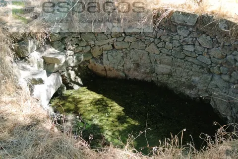 Farm i Castelo Branco, Castelo Branco, Castelo Branco - € 18.695 | Ref: 5828/RR-AC - foto 11