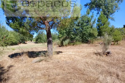 Farm i Castelo Branco, Castelo Branco, Castelo Branco - € 18.695 | Ref: 5828/RR-AC - foto 12