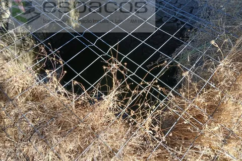 Farm i Castelo Branco, Castelo Branco, Castelo Branco - € 18.695 | Ref: 5828/RR-AC - foto 14