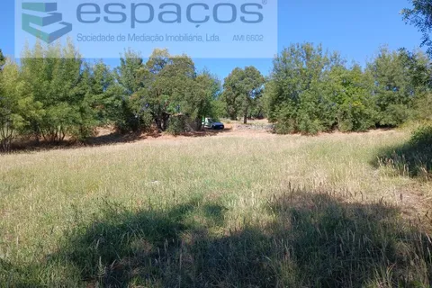 Farm i Castelo Branco, Castelo Branco, Castelo Branco - € 18.695 | Ref: 5828/RR-AC - foto 15