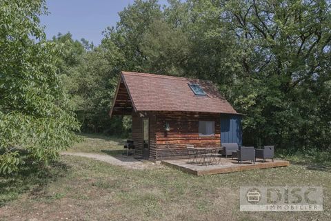 Villa i Saint-Projet, Tarn-et-Garonne, Saint-Projet - € 495.000 | Ref: 0625 8249 - foto 23