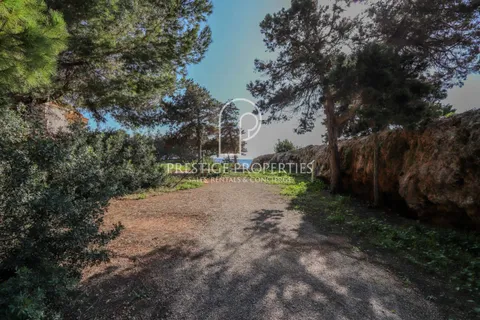 Helårsgrund i Es Canar, Ibiza, Es Canar - € 1.450.000 | Ref: 7663 - foto 5