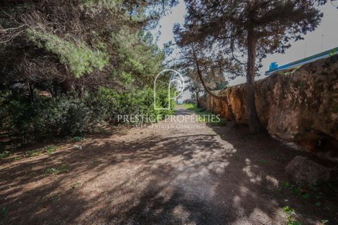 Helårsgrund i Es Canar, Ibiza, Es Canar - € 1.450.000 | Ref: 7663 - foto 11