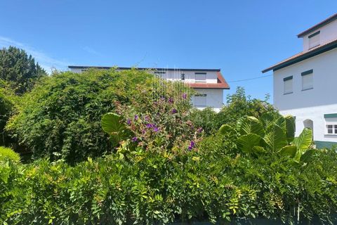 Farm i Caminha, Viana do Castelo, Caminha - € 1.485.000 | Ref: CC13 - foto 3