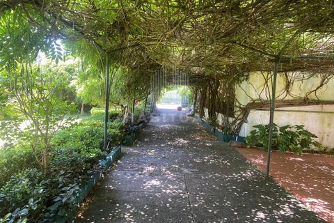 Farm i Caminha, Viana do Castelo, Caminha - € 1.485.000 | Ref: CC13 - foto 13