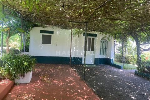 Farm i Caminha, Viana do Castelo, Caminha - € 1.485.000 | Ref: CC13 - foto 28
