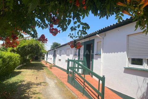 Farm i Caminha, Viana do Castelo, Caminha - € 1.485.000 | Ref: CC13 - foto 30