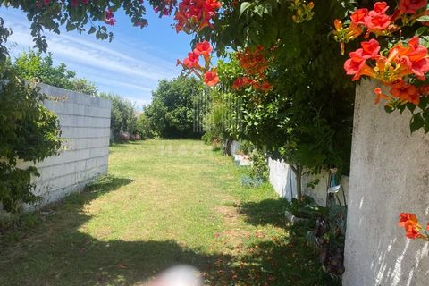 Farm i Caminha, Viana do Castelo, Caminha - € 1.485.000 | Ref: CC13 - foto 31