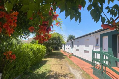 Farm i Caminha, Viana do Castelo, Caminha - € 1.485.000 | Ref: CC13 - foto 33