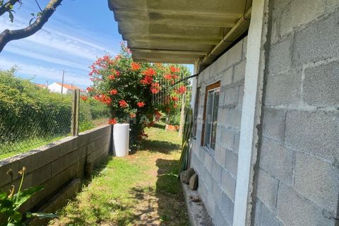 Farm i Caminha, Viana do Castelo, Caminha - € 1.485.000 | Ref: CC13 - foto 36