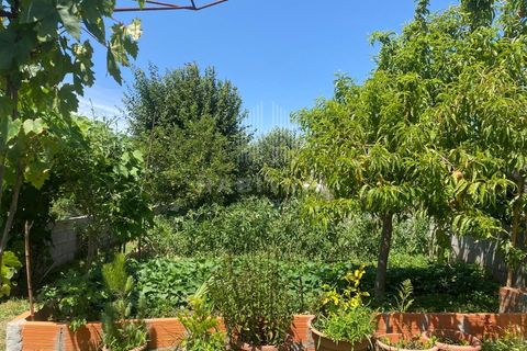 Farm i Caminha, Viana do Castelo, Caminha - € 1.485.000 | Ref: CC13 - foto 37