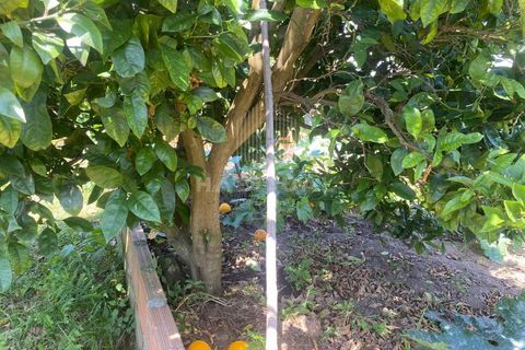 Farm i Caminha, Viana do Castelo, Caminha - € 1.485.000 | Ref: CC13 - foto 38