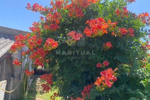 Farm i Caminha, Viana do Castelo, Caminha - € 1.485.000 | Ref: CC13 - foto 39