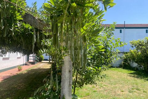 Farm i Caminha, Viana do Castelo, Caminha - € 1.485.000 | Ref: CC13 - foto 41
