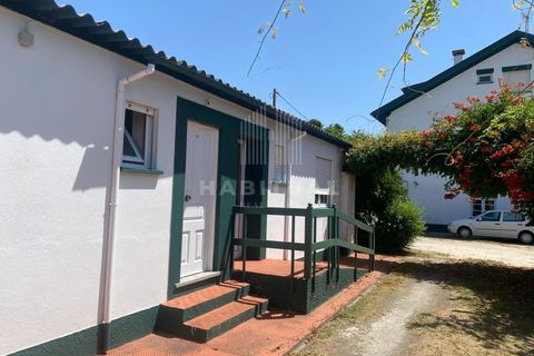 Farm i Caminha, Viana do Castelo, Caminha - € 1.485.000 | Ref: CC13 - foto 44