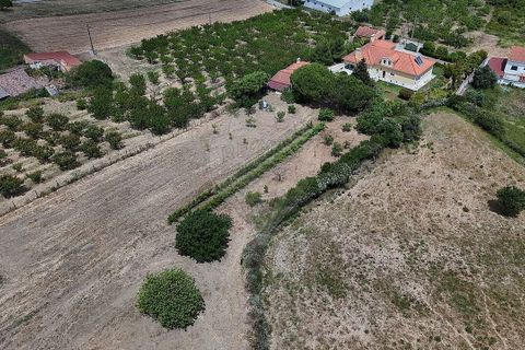 Helårsgrund i Alenquer, Lisbon, Alenquer - € 195.000 | Ref: RR-121161104-1556 - foto 6