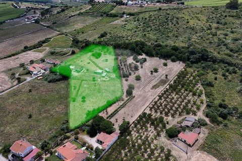 Helårsgrund i Alenquer, Lisbon, Alenquer - € 195.000 | Ref: RR-121161104-1556 - foto 16