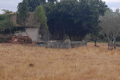Tomt i Oliveira do Conde, Viseu, Oliveira do Conde - € 60 000 | Ref: SALI0249 - foto 2