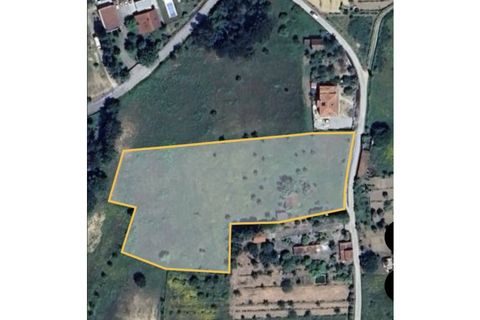 Tomt i Oliveira do Conde, Viseu, Oliveira do Conde - € 60 000 | Ref: SALI0249 - foto 3