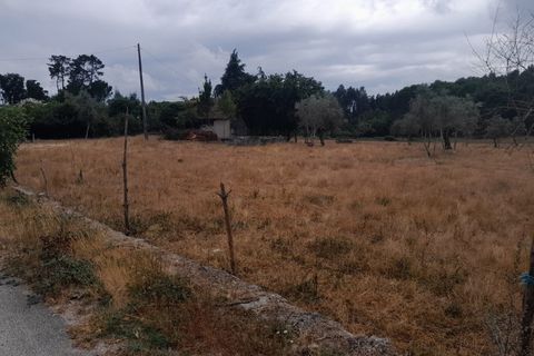 Tomt i Oliveira do Conde, Viseu, Oliveira do Conde - € 60 000 | Ref: SALI0249 - foto 4
