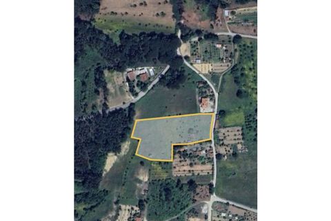 Tomt i Oliveira do Conde, Viseu, Oliveira do Conde - € 60 000 | Ref: SALI0249 - foto 5