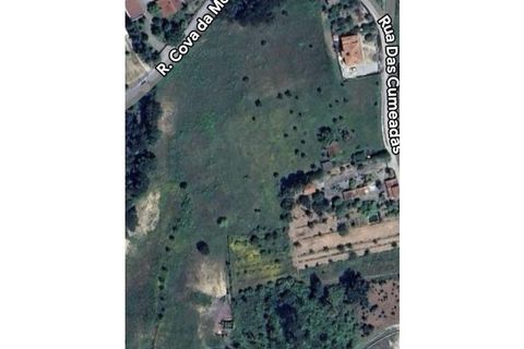 Tomt i Oliveira do Conde, Viseu, Oliveira do Conde - € 60 000 | Ref: SALI0249 - foto 6