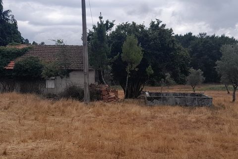 Tomt i Oliveira do Conde, Viseu, Oliveira do Conde - € 60 000 | Ref: SALI0249 - foto 7