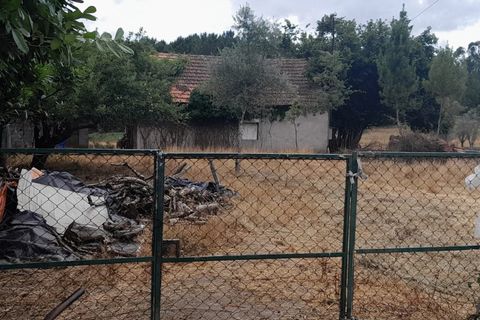 Tomt i Oliveira do Conde, Viseu, Oliveira do Conde - € 60 000 | Ref: SALI0249 - foto 8