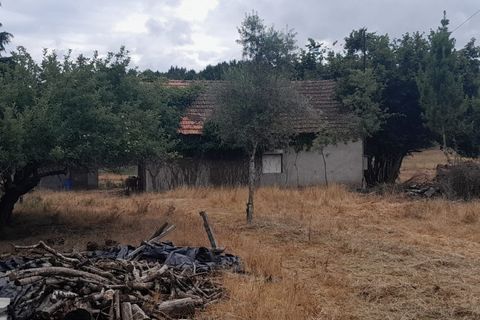 Tomt i Oliveira do Conde, Viseu, Oliveira do Conde - € 60 000 | Ref: SALI0249 - foto 9
