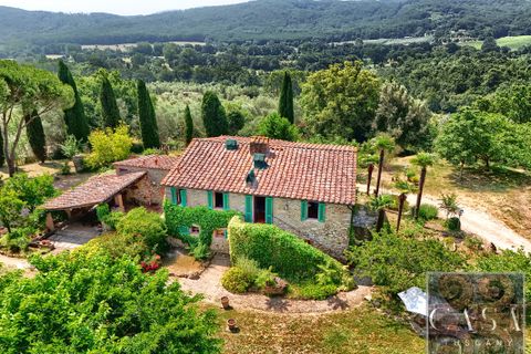 Villa a Sassetta, Livorno, Sassetta - € 1.100.000 | Ref: v619113-x - foto 8