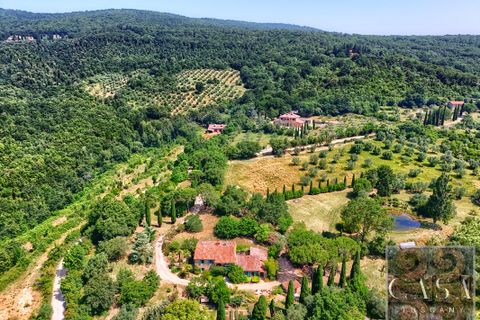 Villa a Sassetta, Livorno, Sassetta - € 1.100.000 | Ref: v619113-x - foto 9