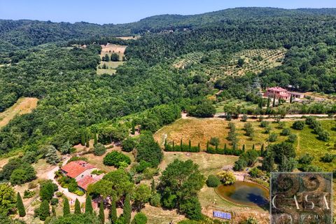 Villa a Sassetta, Livorno, Sassetta - € 1.100.000 | Ref: v619113-x - foto 12