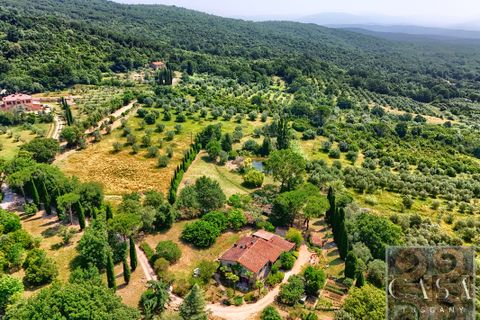 Villa a Sassetta, Livorno, Sassetta - € 1.100.000 | Ref: v619113-x - foto 42