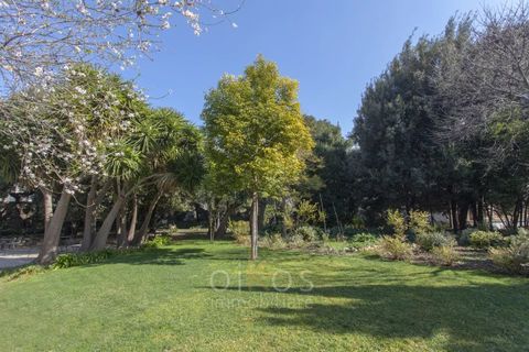Leilighet i Manduria, Taranto, Manduria - € 2 300 000 | Ref: V670 - foto 34