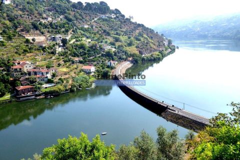 Helårsgrund i Baiao, Porto, Baiao - € 106.000 | Ref: 9818_T - foto 1
