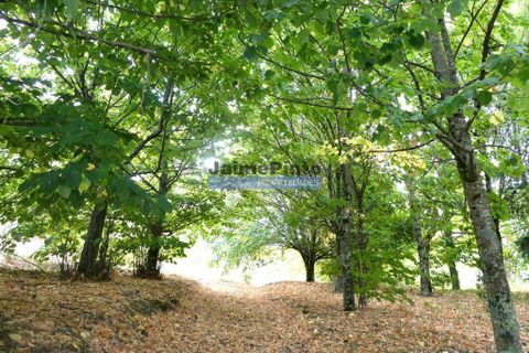 Helårsgrund i Baiao, Porto, Baiao - € 106.000 | Ref: 9818_T - foto 2